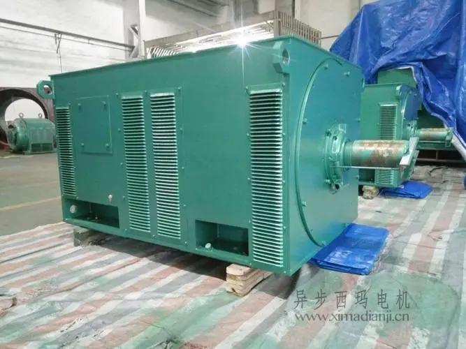 西瑪電機Y5603-10 560KW <a href=http://m.dfxhq.cn/new/new-47-621.html target='_blank'><a href=http://m.dfxhq.cn/new_tags_225.html target='_blank'>10kv高壓電機</a></a>